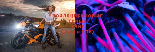 спиды Волоколамск