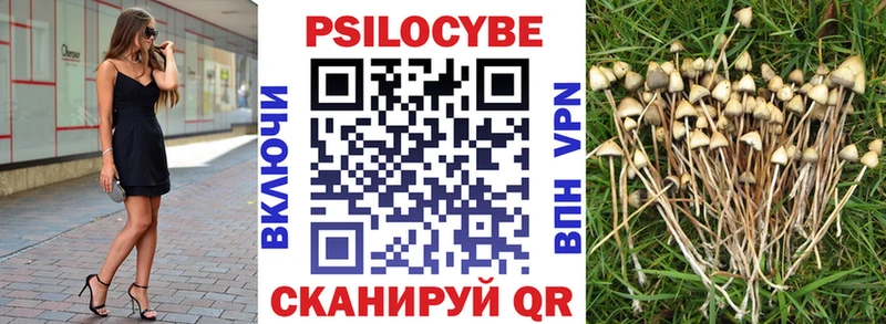 Купить где  Куйбышев  Псилоцибиновые грибы Psilocybine cubensis 